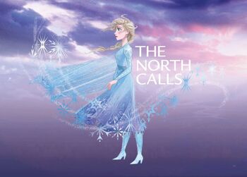 Papier peint - Frozen Elsa The North Calls - Dimensions : 70 x 50 cm 1