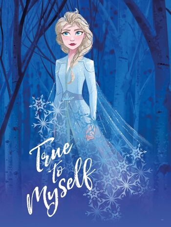 Papier peint - Frozen 2 Elsa fidèle à moi-même - Dimensions : 30 x 40 cm 1
