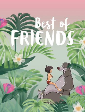 Papier Peint - Jungle Book Best of Friends - Dimensions : 30 x 40 cm 1