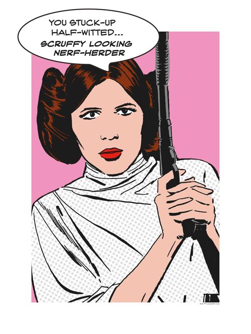 Wandbild - Star Wars Classic Comic Quote Leia - Größe: 30 x 40 cm