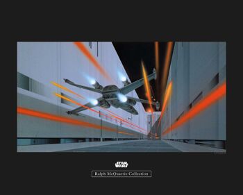 Murale - Star Wars Classic RMQ Death Star Trench - Dimensions : 50 x 40 cm 1