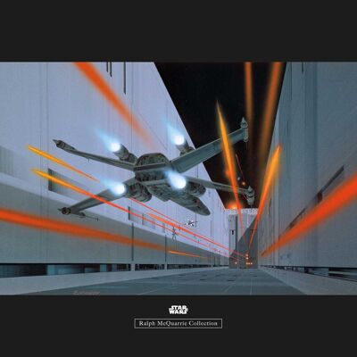 Murale - Star Wars Classic RMQ Death Star Trench - Dimensioni: 70 x 50 cm