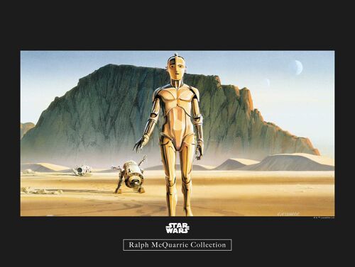 Wandbild - Star Wars Classic RMQ Droids - Größe: 40 x 30 cm