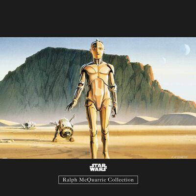 Mural - Star Wars Classic RMQ Droids - Medida: 40 x 30 cm