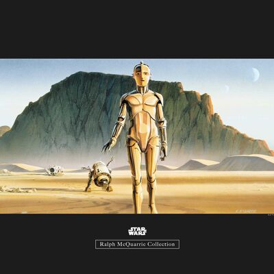 Wandbild - Star Wars Classic RMQ Droids - Größe: 50 x 40 cm
