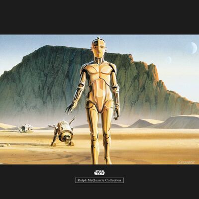 Mural - Star Wars Classic RMQ Droids - Medida: 70 x 50 cm