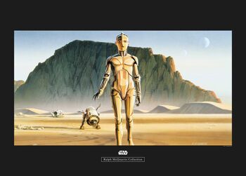 Papier peint - Star Wars Classic RMQ Droids - Dimensions : 70 x 50 cm 1