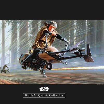 Wandbild - Star Wars Classic RMQ Endor Speeder - Größe: 40 x 30 cm