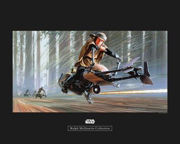Papier peint - Star Wars Classic RMQ Endor Speeder - Dimensions : 50 x 40 cm 1