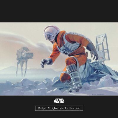 Murale - Star Wars Classic RMQ Hoth Battle Pilot - Dimensioni: 40 x 30 cm