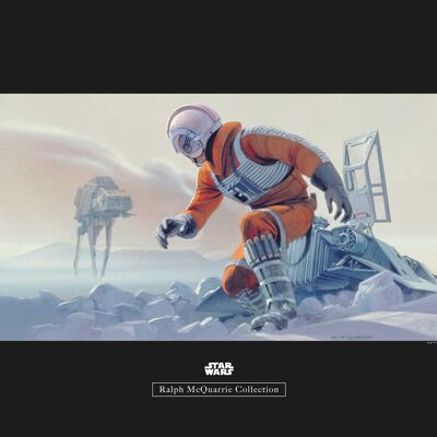 Murale - Star Wars Classic RMQ Hoth Battle Pilot - Dimensioni: 50 x 40 cm