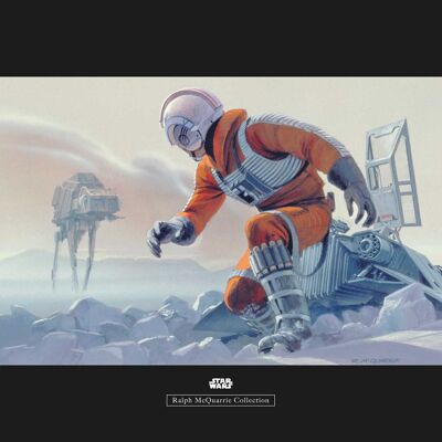 Murale - Star Wars Classic RMQ Hoth Battle Pilot - Dimensioni: 70 x 50 cm