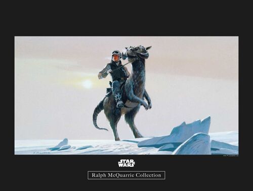 Wandbild - Star Wars Classic RMQ Hoth Tauntaun - Größe: 40 x 30 cm