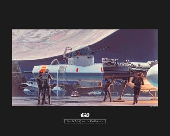 Murale - Star Wars Classic RMQ Yavin Hangar - Dimensions : 50 x 40 cm 1