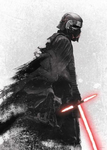 Peinture murale - Star Wars EP9 Kylo Vader Shadow - Dimensions : 50 x 70 cm 1