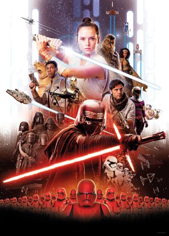 Peinture murale - Affiche du film Star Wars Rey - Dimensions : 50 x 70 cm 1