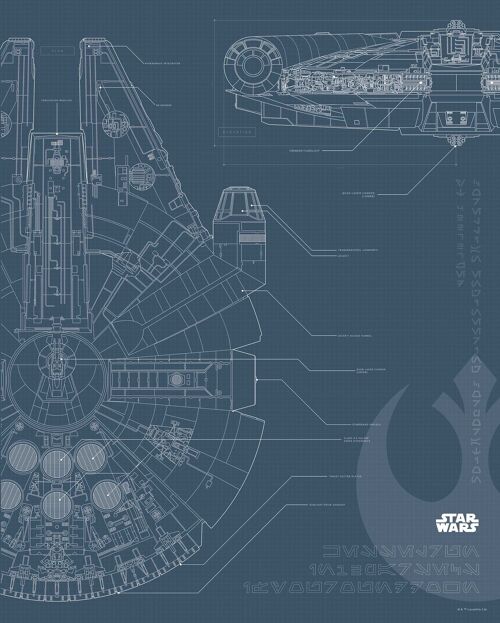 Wandbild - Star Wars Blueprint Falcon - Größe: 40 x 50 cm
