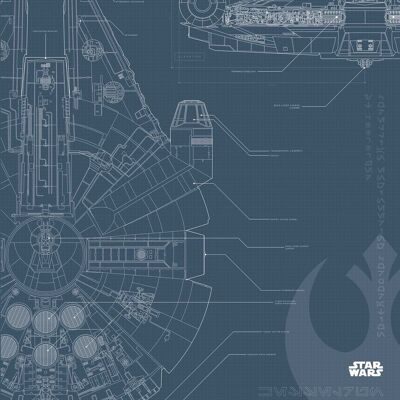Mural - Star Wars Blueprint Falcon - Size: 40 x 50 cm