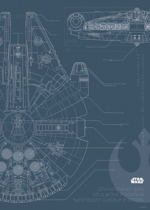 Wandbild - Star Wars Blueprint Falcon - Größe: 50 x 70 cm