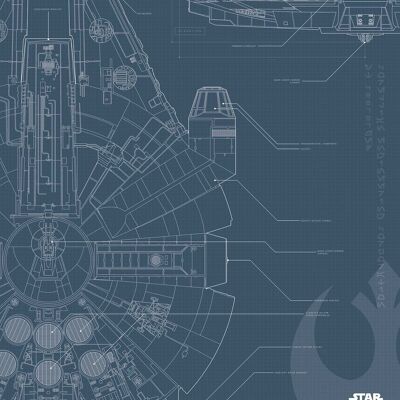 Mural - Star Wars Blueprint Falcon - Size: 50 x 70 cm