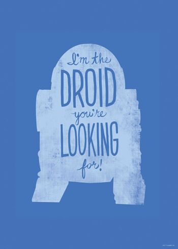 Papier peint - Star Wars Silhouette Citations R2D2 - Dimensions : 50 x 70 cm 1