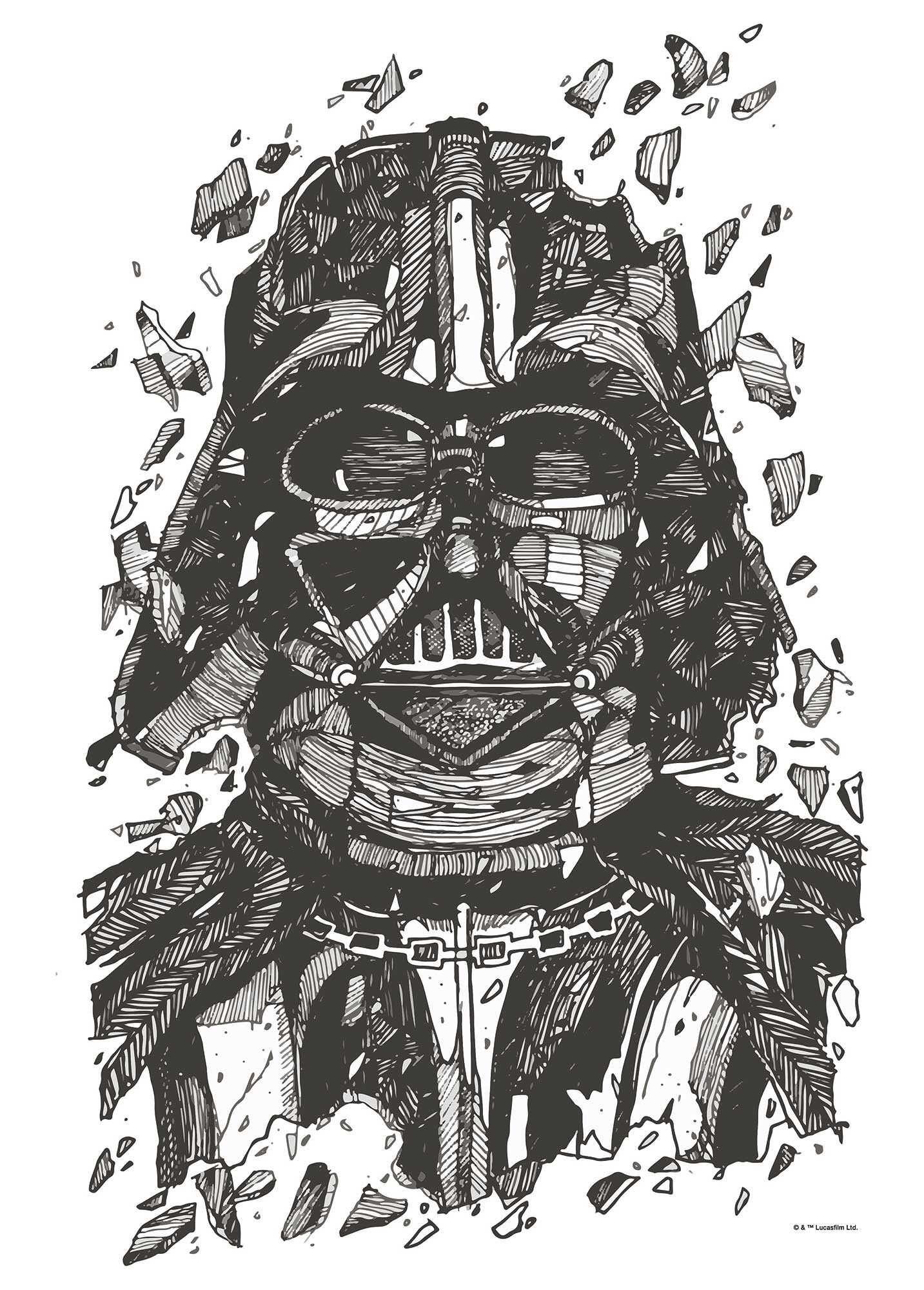 Buy wholesale Mural - Star Wars Darth Vader Drawing - Size: 50 x 70 cm