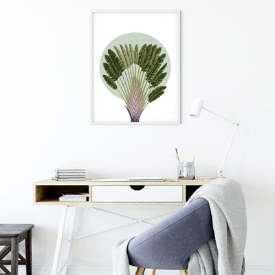 Wandbild - Botanical Garden Pinnate Palm  - Größe: 30 x 40 cm