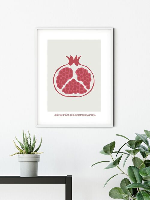 Wandbild - Cultivated Pomegranate  - Größe: 30 x 40 cm