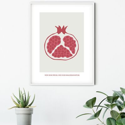 Mural - Cultivated Pomegranate - Size: 30 x 40 cm