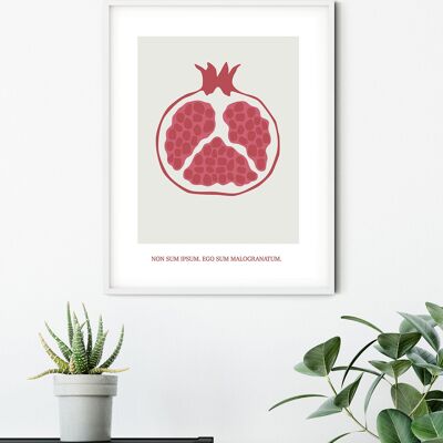 Wandbild - Cultivated Pomegranate  - Größe: 40 x 50 cm