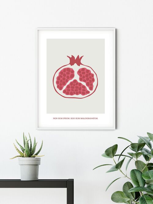 Wandbild - Cultivated Pomegranate  - Größe: 50 x 70 cm