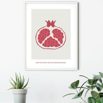 Mural - Cultivated Pomegranate - Size: 50 x 70 cm