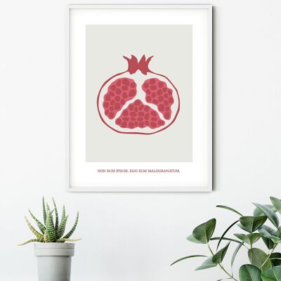 Wandbild - Cultivated Pomegranate  - Größe: 50 x 70 cm