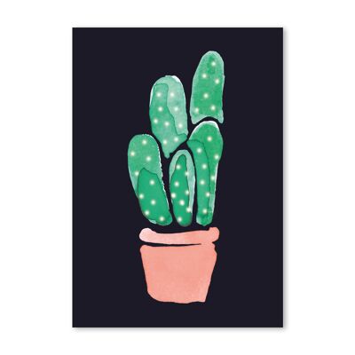 5.3 cactus