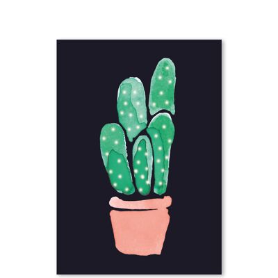 5.3 cactus