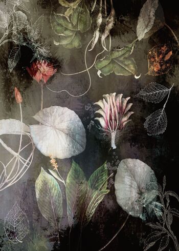 Papier peint photo intissé - Fleurs de nuit - format 200 x 280 cm 2