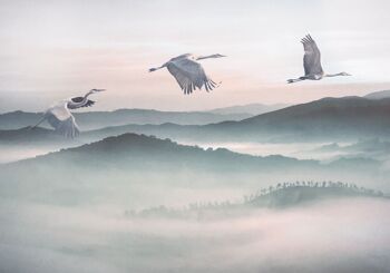 Papier peint photo intissé - Mystic Cranes - format 400 x 280 cm 2