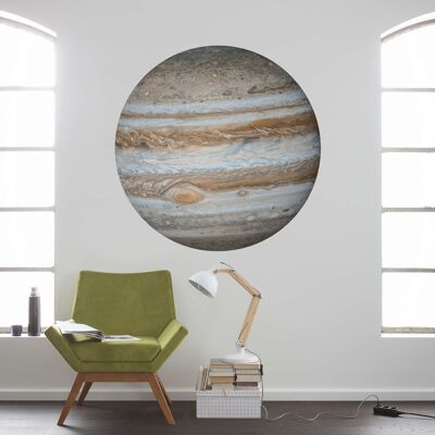 Selbstklebende Vlies Fototapete - Jupiter - Größe 125 x 125 cm