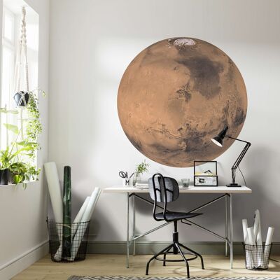 Papel pintado fotográfico no tejido autoadhesivo - Marte - tamaño 125 x 125 cm