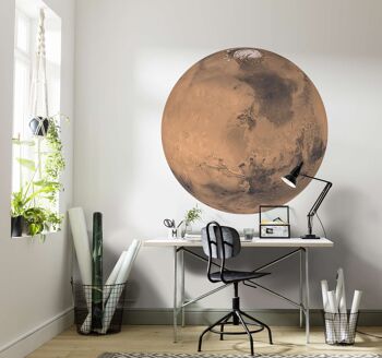 Papier peint photo intissé autocollant - Mars - format 125 x 125 cm 1
