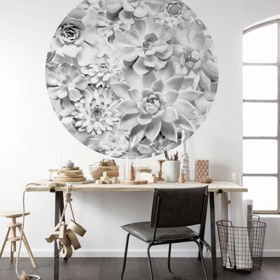 Self-adhesive non-woven photo wallpaper - Echeveria - size 125 x 125 cm