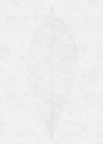 Papier peint photo intissé - Decent Leaf - format 200 x 280 cm 2