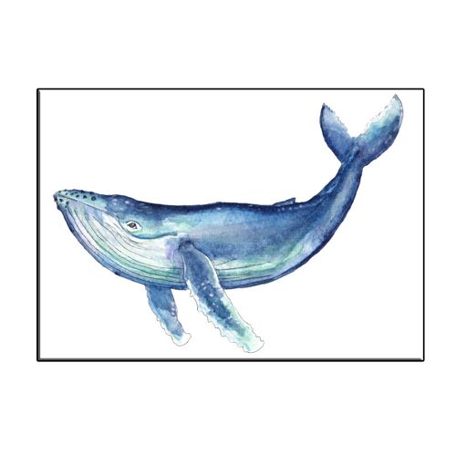 A6 whale card - joyin