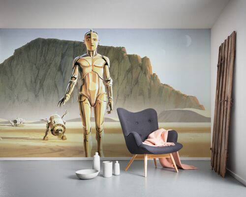 Vlies Fototapete - Star Wars Classic RMQ Droids - Größe 500 x 250 cm