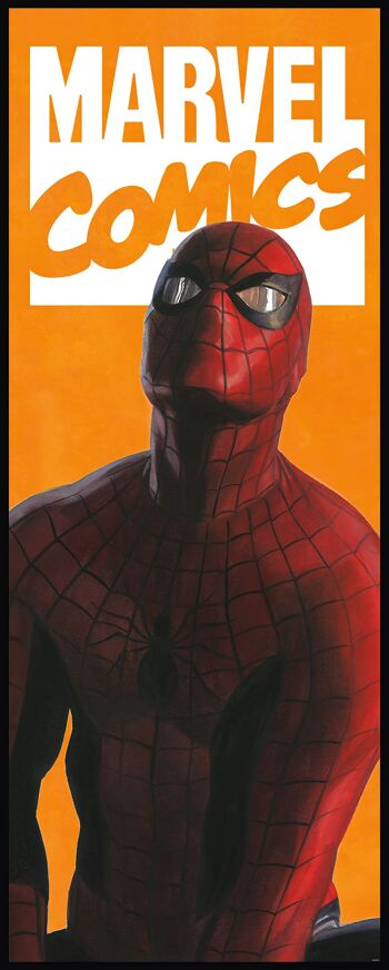 Papier peint photo intissé - Bande dessinée Spider-Man - format 100 x 250 cm 2