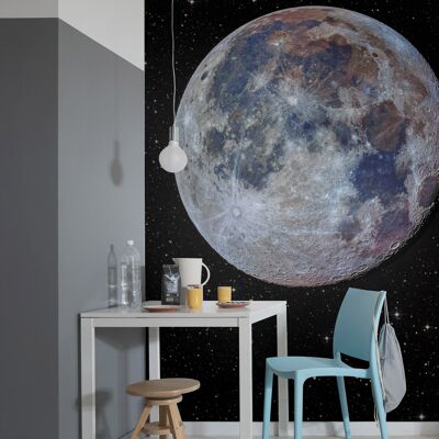 Papel pintado fotográfico no tejido - Lunar - tamaño 200 x 280 cm