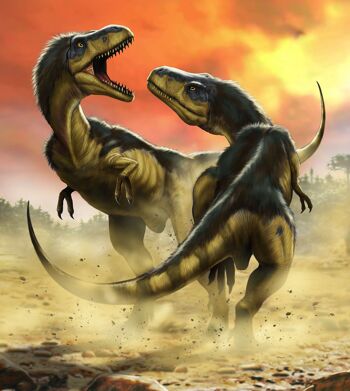 Papier peint photo intissé - Albertosaurus Fight - format 250 x 280 cm 2