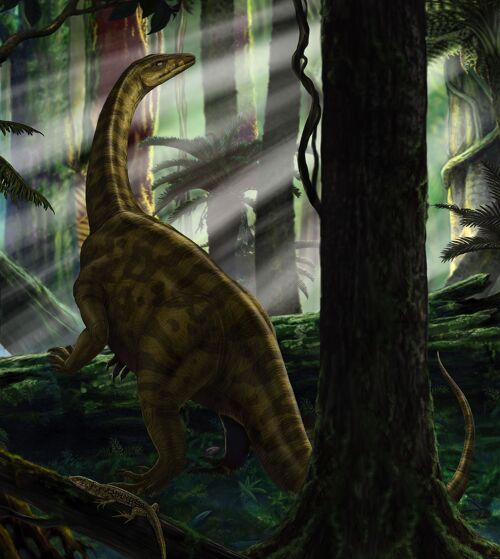 Vlies Fototapete - Riojasaurus Forest - Größe 250 x 280 cm