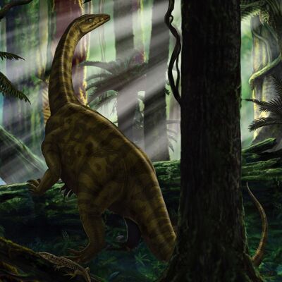 Vlies Fototapete - Riojasaurus Forest - Größe 250 x 280 cm