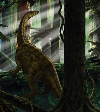 Papier peint non tissé - Forêt de Riojasaurus - format 250 x 280 cm 1